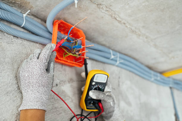 Best Electrical Upgrades for Homes  in Elkton, VA